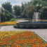 В программе озеленения – территории промплощадки БрАЗа и социальных объектов - Братская Студия Телевидения