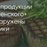Поделитья во ВКонтакте - Братская Студия Телевидения