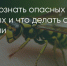 Поделитья во ВКонтакте - Братская Студия Телевидения