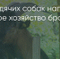 Поделитья во ВКонтакте - Братская Студия Телевидения