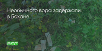 Поделитья во ВКонтакте - Братская Студия Телевидения