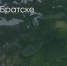 Поделитья во ВКонтакте - Братская Студия Телевидения