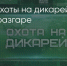 Поделитья во ВКонтакте - Братская Студия Телевидения