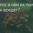 Поделитья во ВКонтакте - Братская Студия Телевидения