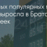 Поделитья во ВКонтакте - Братская Студия Телевидения