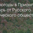 Поделитья во ВКонтакте - Братская Студия Телевидения