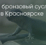 Поделитья во ВКонтакте - Братская Студия Телевидения