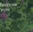 Поделитья во ВКонтакте - Братская Студия Телевидения