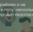Поделитья во ВКонтакте - Братская Студия Телевидения