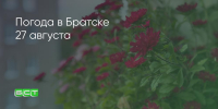 Поделитья во ВКонтакте - Братская Студия Телевидения