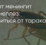 Поделитья во ВКонтакте - Братская Студия Телевидения