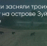 Поделитья во ВКонтакте - Братская Студия Телевидения