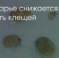 Поделитья во ВКонтакте - Братская Студия Телевидения