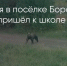 Поделитья во ВКонтакте - Братская Студия Телевидения