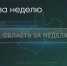 Поделитья во ВКонтакте - Братская Студия Телевидения