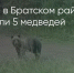 Поделитья во ВКонтакте - Братская Студия Телевидения