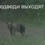 Поделитья во ВКонтакте - Братская Студия Телевидения