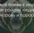 Поделитья во ВКонтакте - Братская Студия Телевидения