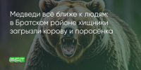 Поделитья во ВКонтакте - Братская Студия Телевидения