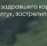 Поделитья во ВКонтакте - Братская Студия Телевидения