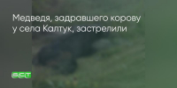 Поделитья во ВКонтакте - Братская Студия Телевидения