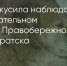 Поделитья во ВКонтакте - Братская Студия Телевидения