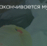 Поделитья во ВКонтакте - Братская Студия Телевидения