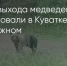 Поделитья во ВКонтакте - Братская Студия Телевидения
