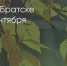 Поделитья во ВКонтакте - Братская Студия Телевидения