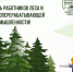 21 сентября - День работников леса и лесоперерабатывающей промышленности! - БрГУ