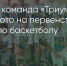 Поделитья во ВКонтакте - Братская Студия Телевидения