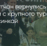 Поделитья во ВКонтакте - Братская Студия Телевидения
