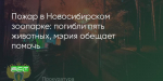 Поделитья во ВКонтакте