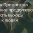 Поделитья во ВКонтакте - Братская Студия Телевидения
