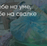 Поделитья во ВКонтакте - Братская Студия Телевидения