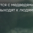 Поделитья во ВКонтакте - Братская Студия Телевидения