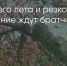 Поделитья во ВКонтакте - Братская Студия Телевидения