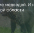 Поделитья во ВКонтакте - Братская Студия Телевидения