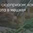 Поделитья во ВКонтакте - Братская Студия Телевидения