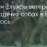 Поделитья во ВКонтакте - Братская Студия Телевидения