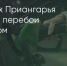 Поделитья во ВКонтакте - Братская Студия Телевидения