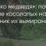 Поделитья во ВКонтакте - Братская Студия Телевидения