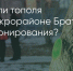 Поделитья во ВКонтакте - Братская Студия Телевидения