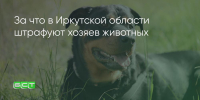 Поделитья во ВКонтакте - Братская Студия Телевидения