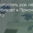 Поделитья во ВКонтакте - Братская Студия Телевидения