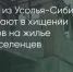 Поделитья во ВКонтакте - Братская Студия Телевидения