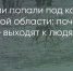 Поделитья во ВКонтакте - Братская Студия Телевидения