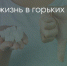 Поделитья во ВКонтакте - Братская Студия Телевидения