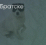 Поделитья во ВКонтакте - Братская Студия Телевидения