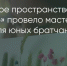 Поделитья во ВКонтакте - Братская Студия Телевидения